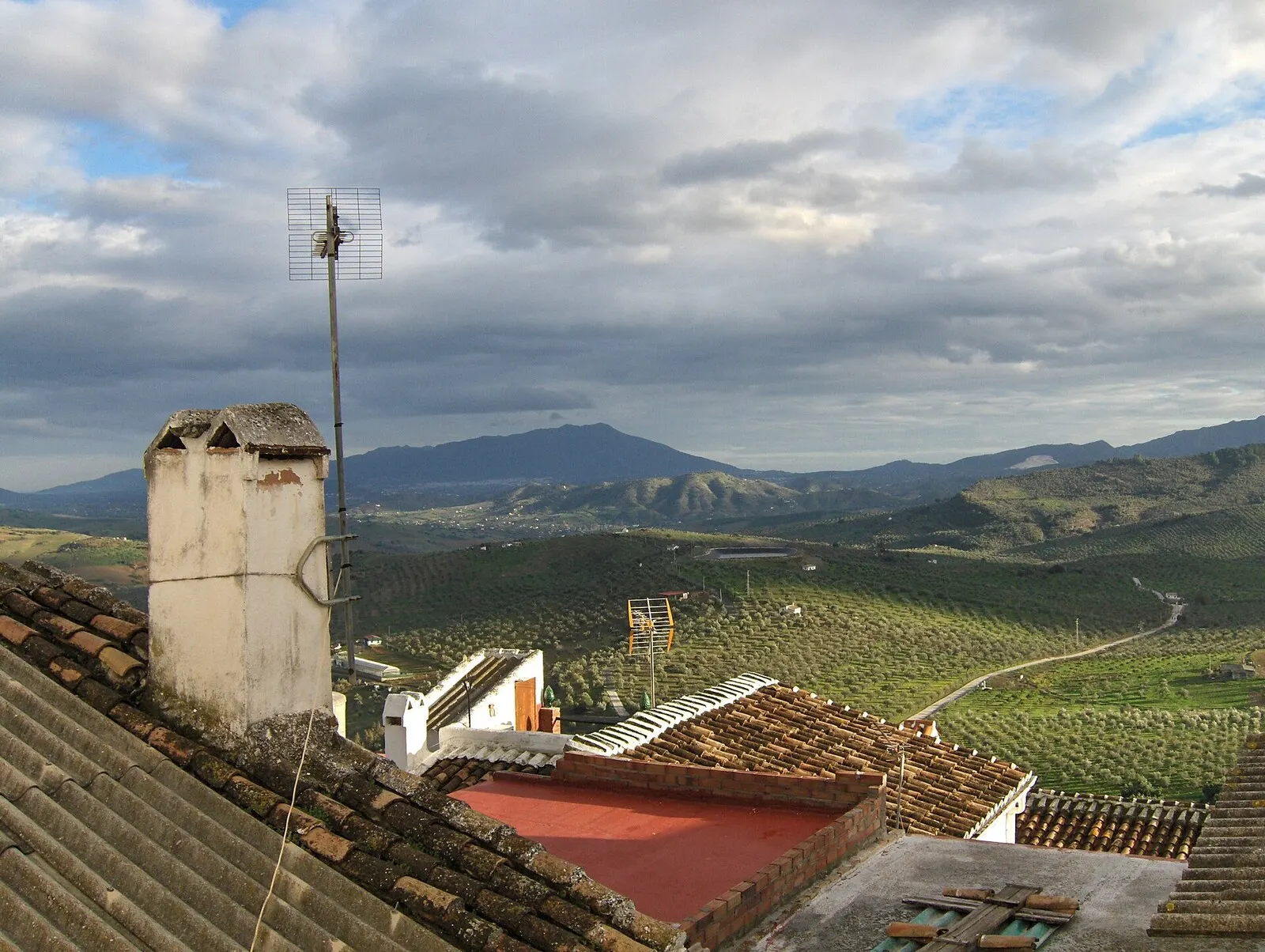 Campos de olivos y almendros alrededor del pueblo
